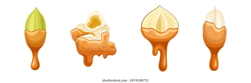 Nut Edible Seed with Dripping Chocolate or Caramel Melting Liquid Vector Set