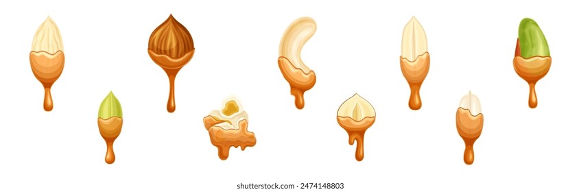 Nut Edible Seed with Dripping Chocolate or Caramel Melting Liquid Vector Set