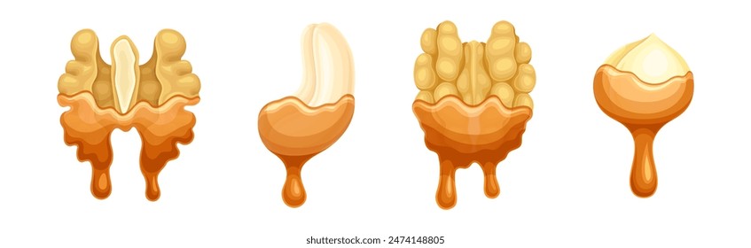 Nut Edible Seed with Dripping Chocolate or Caramel Melting Liquid Vector Set