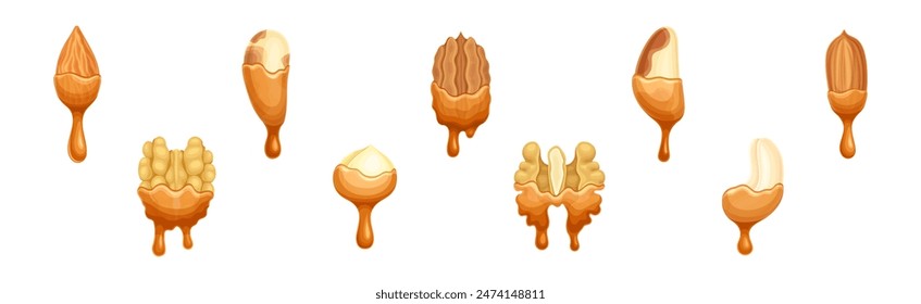 Nut Edible Seed with Dripping Chocolate or Caramel Melting Liquid Vector Set