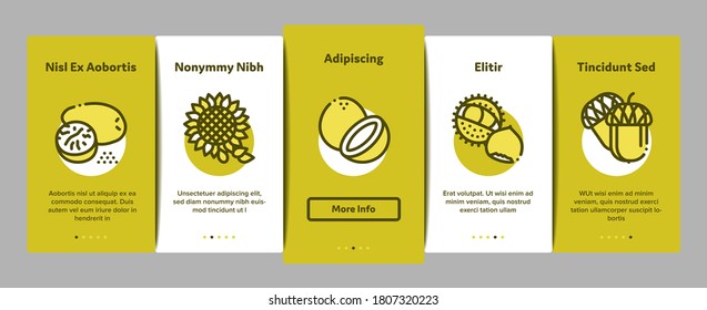 Nut Food Different Onboarding Mobile App Page Screen Vector. Peanut And Almond, Chestnut And Macadamia, Cashew And Pistachio, Pine And Sunflower Seeds Color Illustrations