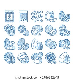 Nut Food Different sketch icon vector. Hand drawn blue doodle line art Peanut And Almond, Chestnut And Macadamia, Cashew And Pistachio, Pine And Sunflower Seeds Illustrations