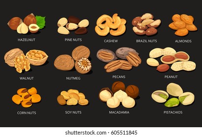 Nut food grains or beans of cashew and brazil, pine, soy and corn nuts, hazelnut and cashew, almonds and walnut, nutmeg and pecan, peanut and macadamia, pistachio. Nutrition and agriculture