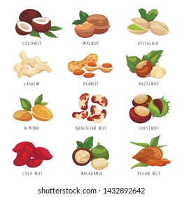 Nut grains icon set, healthy vegan snack. Beans, nuts, and seeds ingredients. Vector flat style cartoon illustration isolated on white background