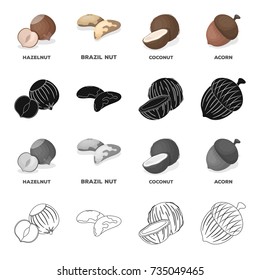 Nut, hazelnut, brazil nut, and other web icon in cartoon style.Peel, delicacy, treats icons in set collection.
