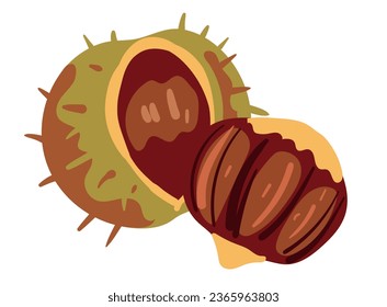 Nut hazelnut peanut flat isolated concept. Vector graphic design illustration