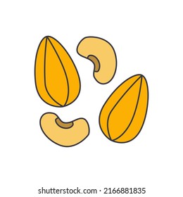 Nut icon in color, isolated on white background 