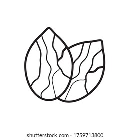 Nut Icon Design Vector Template