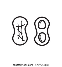 Nut Icon Design Vector Template