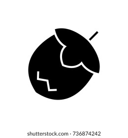 nut icon, illustration, vector sign on isolated background