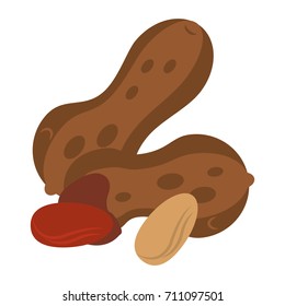 nut icon image 