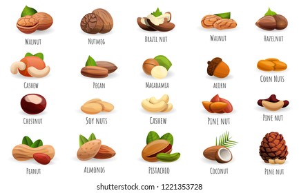 Nut icon set. Cartoon set of nut acorn vector icons for web design