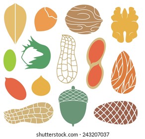 Nut icon set. Isolated nut on white background. EPS 10. Vector illustration
