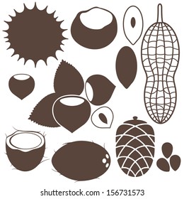 Nut. Icon set. Vector illustration. Dried nuts on white background