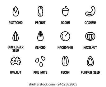 Nut icons set. Collection of Nuts and Seeds with Name.Peanut, Pistachio, Almond, Hazelnut, Acorn, Cashew, Macadamia,Walnut. Outline set of nuts vector icons for web design isolated on white background