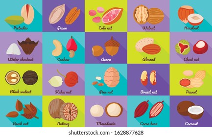 Nut icons set. Flat set of nut vector icons for web design