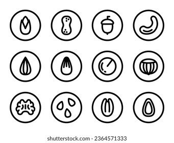 Nut icons set. Outline set of nut vector icons for web design isolated on white background. Set of nuts in a round frame
