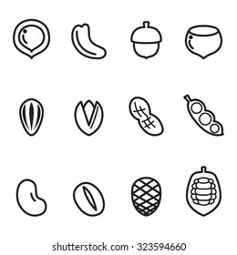 Nut icons Vector illustration Set