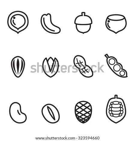 Nut icons Vector illustration Set