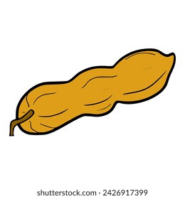 nut illustration hand drawn isolated vector