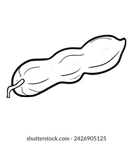 nut illustration hand drawn outline sketch vector	