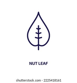 nut leaf icon from nature collection. Thin linear nut leaf, leaf, food outline icon isolated on white background. Line vector nut leaf sign, symbol for web and mobile