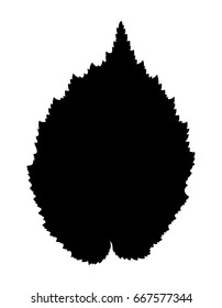 Nut leaf, vector icon. Isolated on white background.