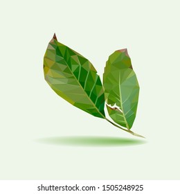 Nut leafs polygonal icon pattern