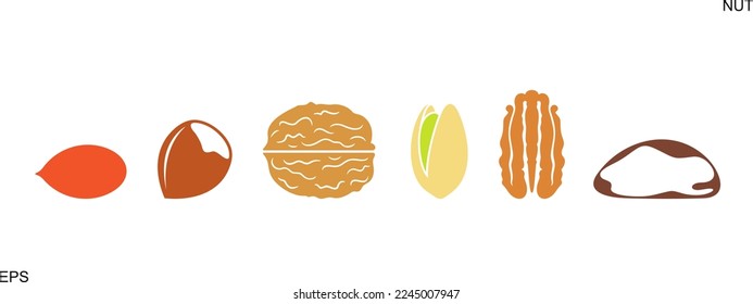 Nut logo. Isolated nut on white background. Set