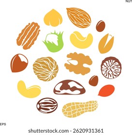 Nut logo. Isolated nut on white background. Set
