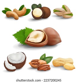 Nut mix. Vector graphics. Isolated on white background. Realistic vector 3d icons. The set consists of hazelnut, pecan, cashew, macadamia, as well as pistachios, broken coconut and peanuts