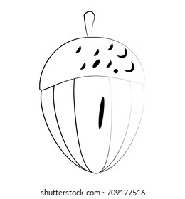 Nut natural snack