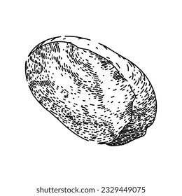 nut nutmeg spice hand drawn. seasoning spicy, aromatic condiment, powder brown nut nutmeg spice vector sketch. isolated black illustration