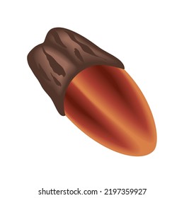 nut on white background icon