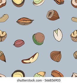 Nut seamless on gray background. Hand drawn colorful pattern with different kind: pecan, almond, macadamia, pistachio, walnut, cashew, peanut, brazilian.