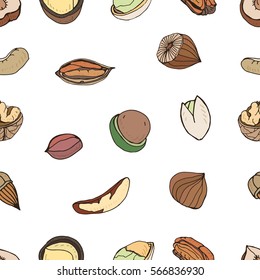 Nut seamless on white background. Hand drawn colorful pattern with different kind: pecan, almond, macadamia, pistachio, walnut, cashew, peanut, brazilian.