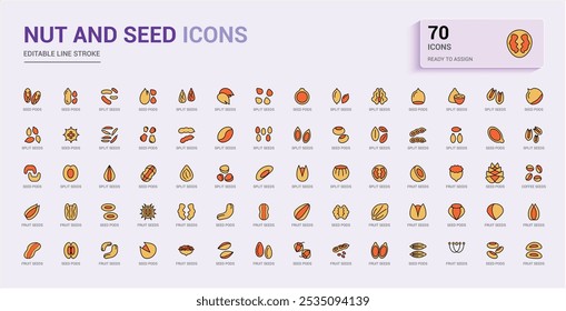 Nut And Seed colorful icon pack. Icons set with soybean, nuts, cocoa, coconut, coffee beans, nuts and seeds and more. Simple icon for mobile and web apps. Icon names are written in English.