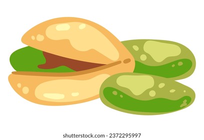 Nut seed isolated on white background concept. Vector flat graphic design illustration