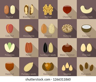 Nut seeds icon set. Flat set of nut seeds vector icons for web design