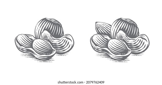 nut set logo Hand drawing sketch engraving illustration style