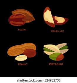 Juego de nueces. Ilustración vectorial de las nueces maduras y semillas. Diversas nueces. Iconos de nuez muy detallados: nutmeg, maní de almendras, almirez, anacardo, nuez de brasil, pecan. Ilustración vectorial.