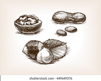 Nut sketch style vector illustration. Old hand drawn engraving imitation.