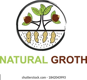 Nut tree and plant logo