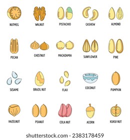 Tipos de tuercas con iconos de nombres firmados establecidos. Ilustración de esquema de 20 tipos de tuercas con nombres firmados iconos vectoriales color de línea delgada plano sobre blanco