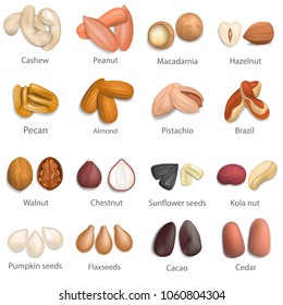 Nut types with signed names mockup set. Realistic illustration of 16 nut types with signed names mockups for web