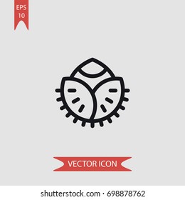 Nut vector icon, illustration symbol