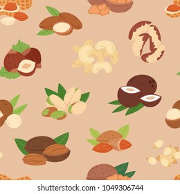 Nut vector nutshell of hazelnut or walnut and almond nuts set nutrition with cashew peanut and chestnuts nutmeg illustration isolated on seamless pattern background