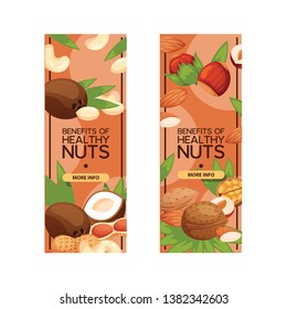 Nut vector nutshell of hazelnut walnut and almond nuts set backdrop organic food nutrition with cashew peanut and chestnuts nutmeg illustration background banner.