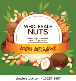 Nut vector nutshell of hazelnut walnut and almond nuts backdrop organic food nutrition with cashew peanut and chestnuts nutmeg illustration background banner.