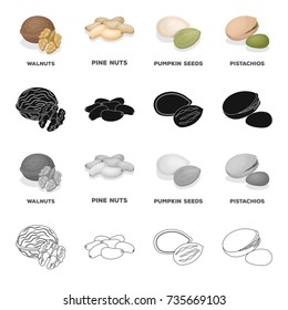Nut, walnuts, pine and other web icon in cartoon style.Delicacy, treats, product icons in set collection.